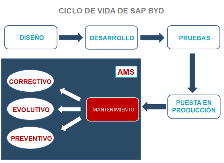 Ciclo de vida AMS - SAP BYD