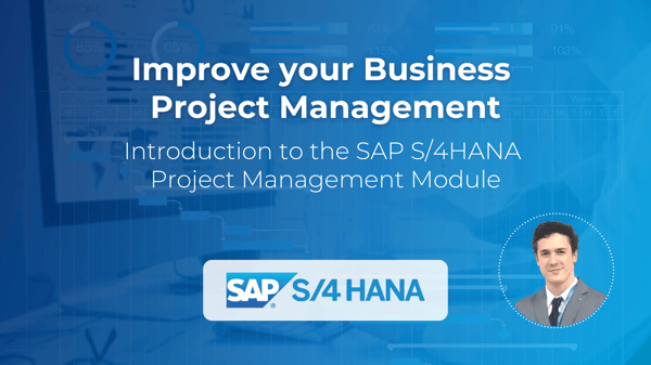 IMG Principal Blog SAP S4 HANA Project Management ING