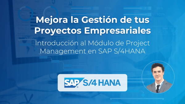 IMG Principal Blog SAP S4 HANA Project Management