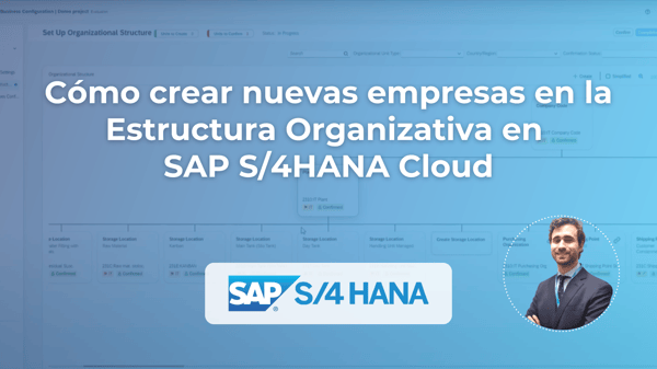 IMG Principal Blog SAP S4 HANA